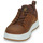Sapatos Homem Sapatilhas Timberland MAPLE GROVE LTHR OX Castanho