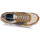 Sapatos Homem Sapatilhas Timberland WINSOR PARK OX Castanho / Multicolor