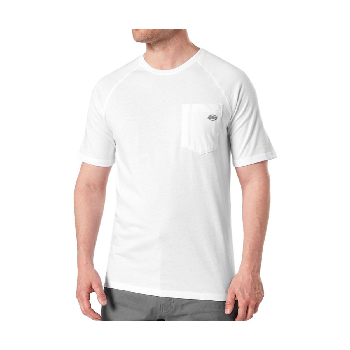 Textil Homem T-shirts e Pólos Dickies  Branco