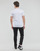 Textil Homem T-Shirt mangas curtas Calvin Klein Jeans MICRO MONOLOGO TEE Branco