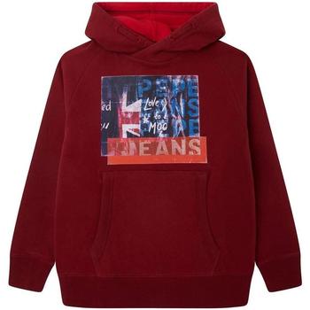Textil Rapaz Sweats Pepe JEANS hoodie  Vermelho