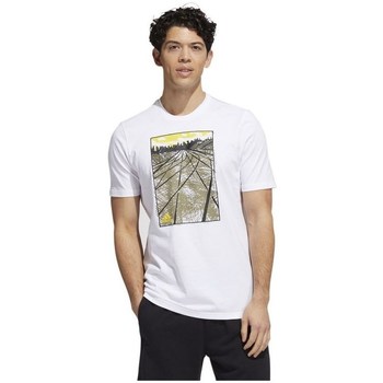 Textil Homem T-Shirt mangas curtas adidas Originals Skates Tee Branco