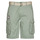 Textil Homem stretchy Shorts / Bermudas Oxbow P10ORPEK Verde
