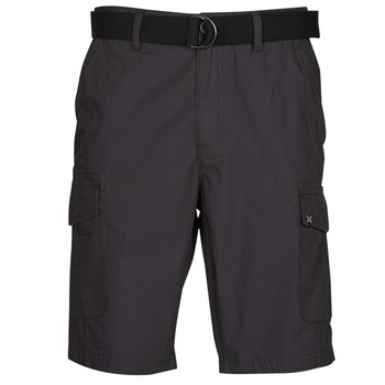Textil Homem Shorts / Bermudas Oxbow P10RAGO Cinza / Escuro