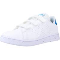 Sapatos Rapaz Sapatilhas adidas Originals ADVANTAGE CF C Branco