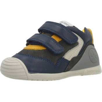 Sapatos Rapaz Todos os sapatos Biomecanics 221131B Azul