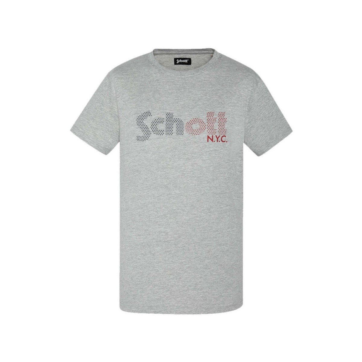 Textil Homem T-shirts e Pólos Schott  Cinza