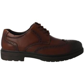 Sapatos Homem Sapatos & Richelieu Comfort  Castanho