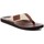 Sapatos Homem Chinelos Refresh SANDALIA DE HOMBRE  079147 Castanho