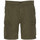 Textil Homem Grau Shorts / Bermudas Schott  Verde