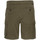 Textil Homem Spyder Shorts / Bermudas Schott  Verde