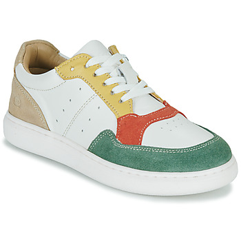 Sapatos Rapaz Sapatilhas Citrouille et Compagnie FITOS Verde / Multicolor