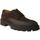 Sapatos Homem Sapatos & Richelieu Calce  Castanho