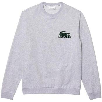 Textil Homem Sweats Lacoste t-shirt  Cinza