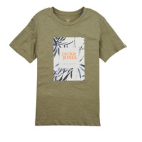 Textil Rapaz T-Shirt mangas curtas Nome de família JORCRAYON BRANDING TEE SS CREW NECK Verde