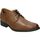 Sapatos Homem Sapatos & Richelieu Clarks 26152919 Castanho