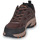 Sapatos Homem Sapatos de caminhada Skechers HILLCREST Castanho