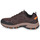 Sapatos Homem Sapatos de caminhada Boots Skechers HILLCREST Castanho