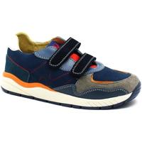 Sapatos Criança Sapatilhas Naturino NAT-I22-17141-NI-b Azul