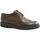 Sapatos Homem Richelieu Franco Fedele FED-CCC-2938-SA Castanho