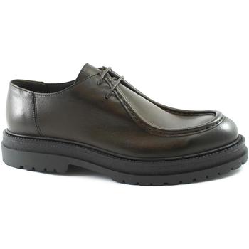 Sapatos Homem Richelieu Franco Fedele FED-CCC-6521-TM Castanho