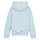Textil Criança Sweats Tommy Hilfiger U ESSENTIAL HOODIE Azul