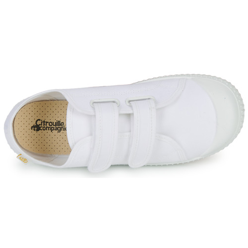 Citrouille et Compagnie MINOT Branco