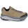 Sapatos Mulher Sapatos de caminhada VIKING FOOTWEAR Cerra Hike Low GTX W Bege