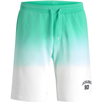 Textil Rapaz Shorts / Bermudas SALDOS até -60 12220422 JPSTAIRDIP SWEAT SHORT JNR BISCAY GREEN Verde