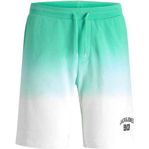 Textil Rapaz Shorts / Bermudas Jack & Jones 12220422 JPSTAIRDIP SWEAT SHORT JNR BISCAY GREEN Verde