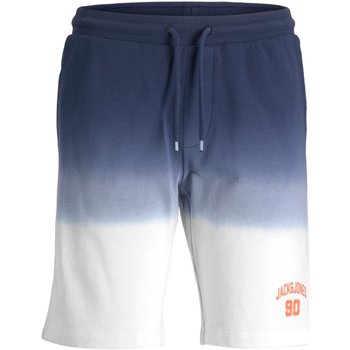 Textil Rapaz Shorts / Bermudas Jack & Jones 12220422 JPSTAIRDIP SWEAT SHORT JNR NAVY BLAZER Azul