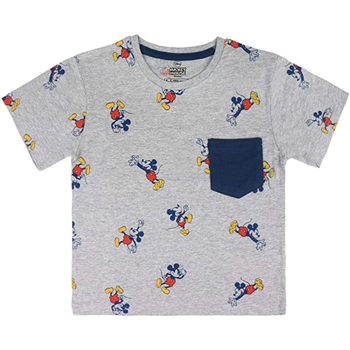 Textil Rapaz T-shirt mangas compridas Disney 2200003722 Cinza