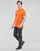 Textil Homem patch Polos mangas Cllassics Hackett ASTON MARTIN BY HACKETT AMR TIPPED patch POLO Laranja