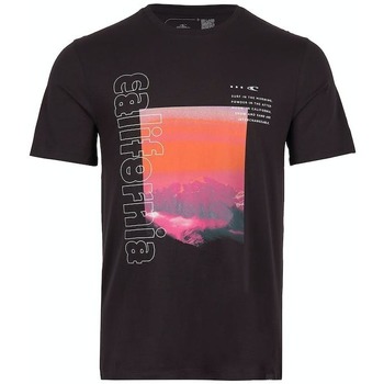 Textil Homem T-Shirt mangas curtas O'neill T-shirt  Cali Mountains Preto