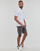 Textil Homem Shorts / Bermudas Levi's 501® ORIGINAL SHORT Cinza