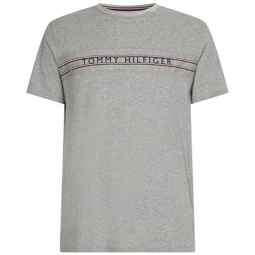 Textil Homem T-Shirt mangas curtas Tommy Hilfiger UM0UM02422P61 Cinza