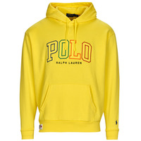 Textil Homem Sweats Polo Ralph Lauren 710899182005 Amarelo / Limão / Crush