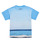 Textil Rapaz T-Shirt mangas curtas Desigual TS_ALBERT Azul