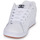 Sapatos Homem Sapatos estilo skate DC Shoes NET Branco / Preto