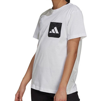 Textil Mulher T-shirts e Pólos adidas special Originals  Branco