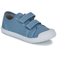 Sapatos Criança Sapatilhas Chicco CAMBRIDGE Azul