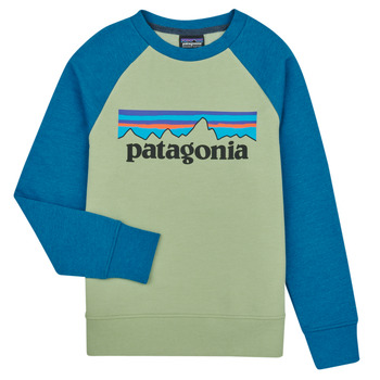 Textil Criança Sweats Patagonia K's LW Crew Sweatshirt Multicolor