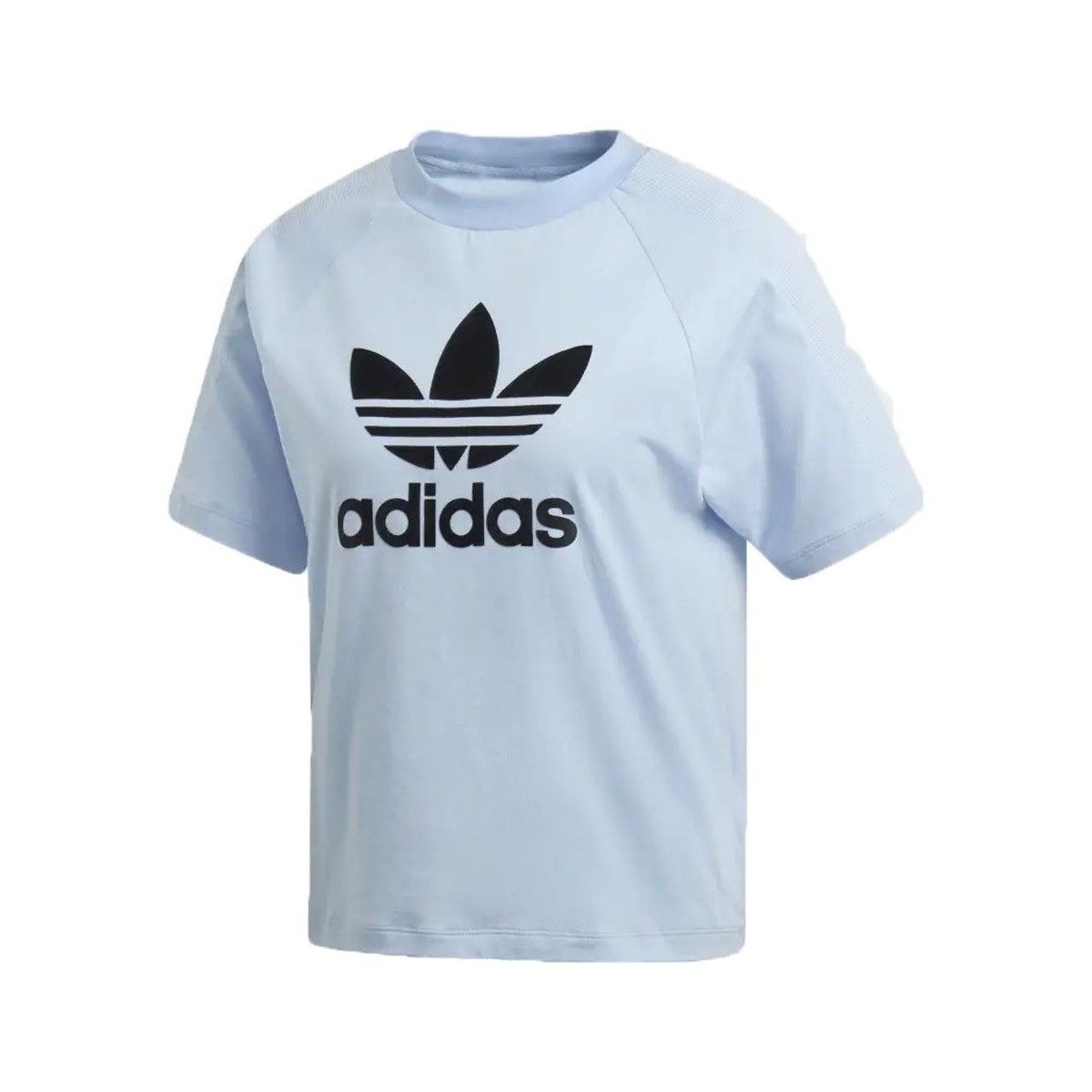 Textil Mulher T-shirts e Pólos adidas Originals Regular Tee Azul