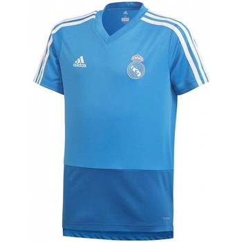 Textil Rapaz T-shirts e Pólos adidas Originals Sweatshirt com capuz Superdry Code Core Sport azul marinho branco Azul