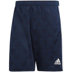 Textil Homem Shorts / Bermudas amazon adidas Originals Tan Jqd Sho Azul