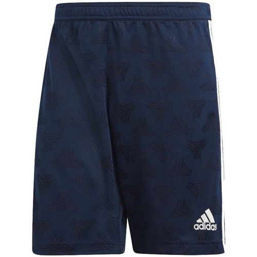 Textil Homem Shorts / Bermudas adidas Originals adidas Originals Mid Cut Crew Socks 3-pack HL9221 Azul