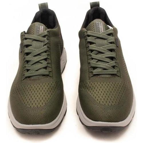 Geox  Verde