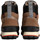 Sapatos Homem Botas Napapijri F2snowjog01/nys Castanho