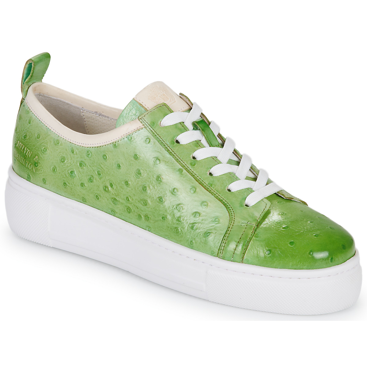 Sapatos Mulher Sapatilhas A tendência da gangan AMBER 6 Verde