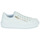 Sapatos Rapariga Sapatilhas Jerseis Tommy Hilfiger KRYSTAL Branco / Ouro